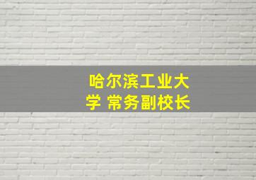 哈尔滨工业大学 常务副校长